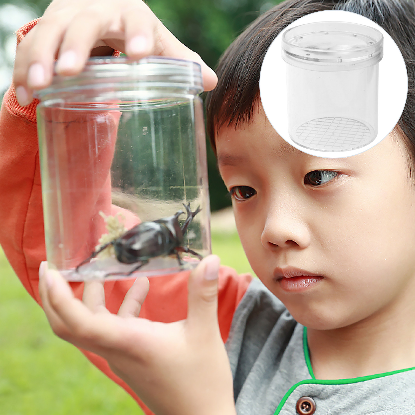5Pcs Insect Observation Box Ki - Kids Toys Learning review and price