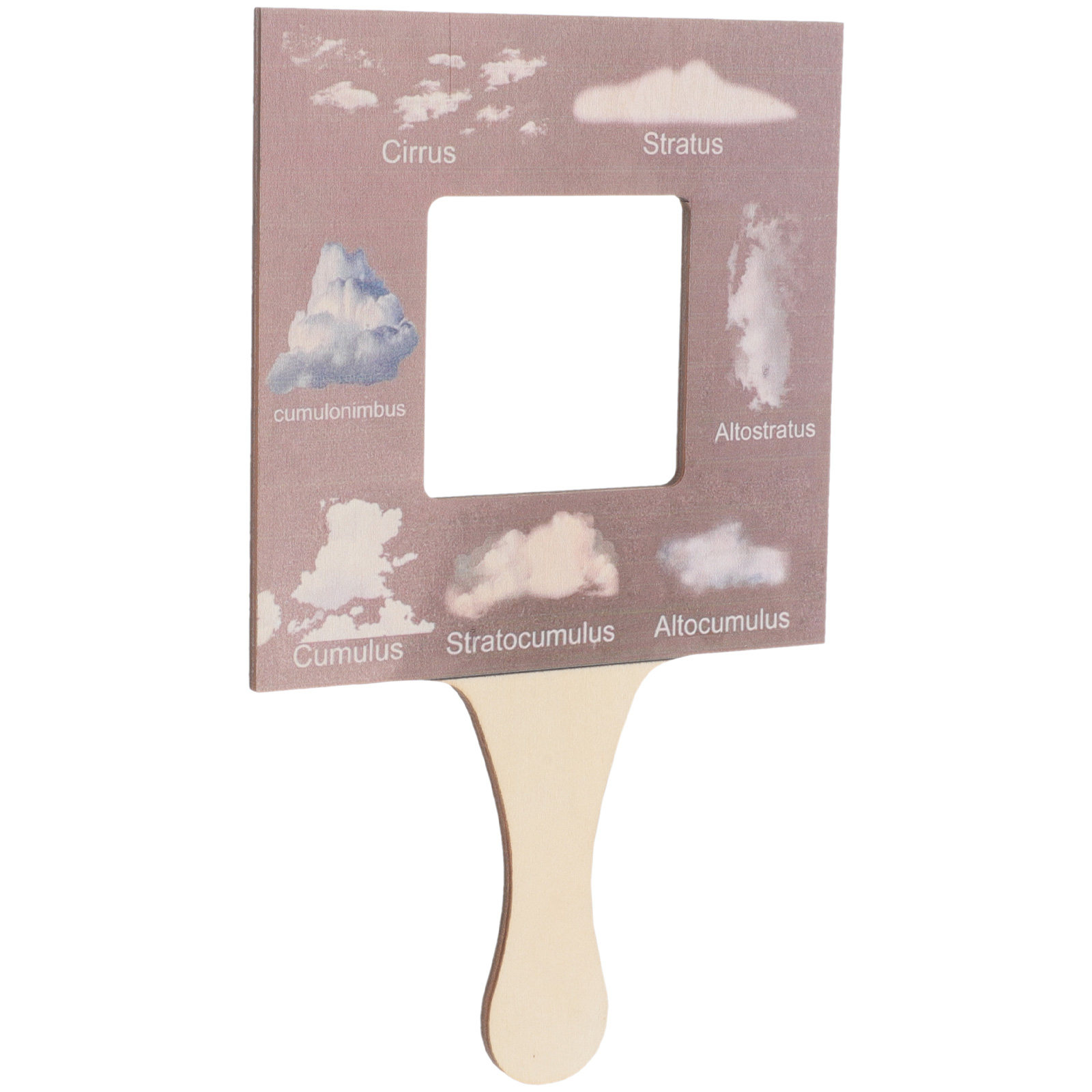 Nature Identification Identifi - Kids Toys Learning review and price