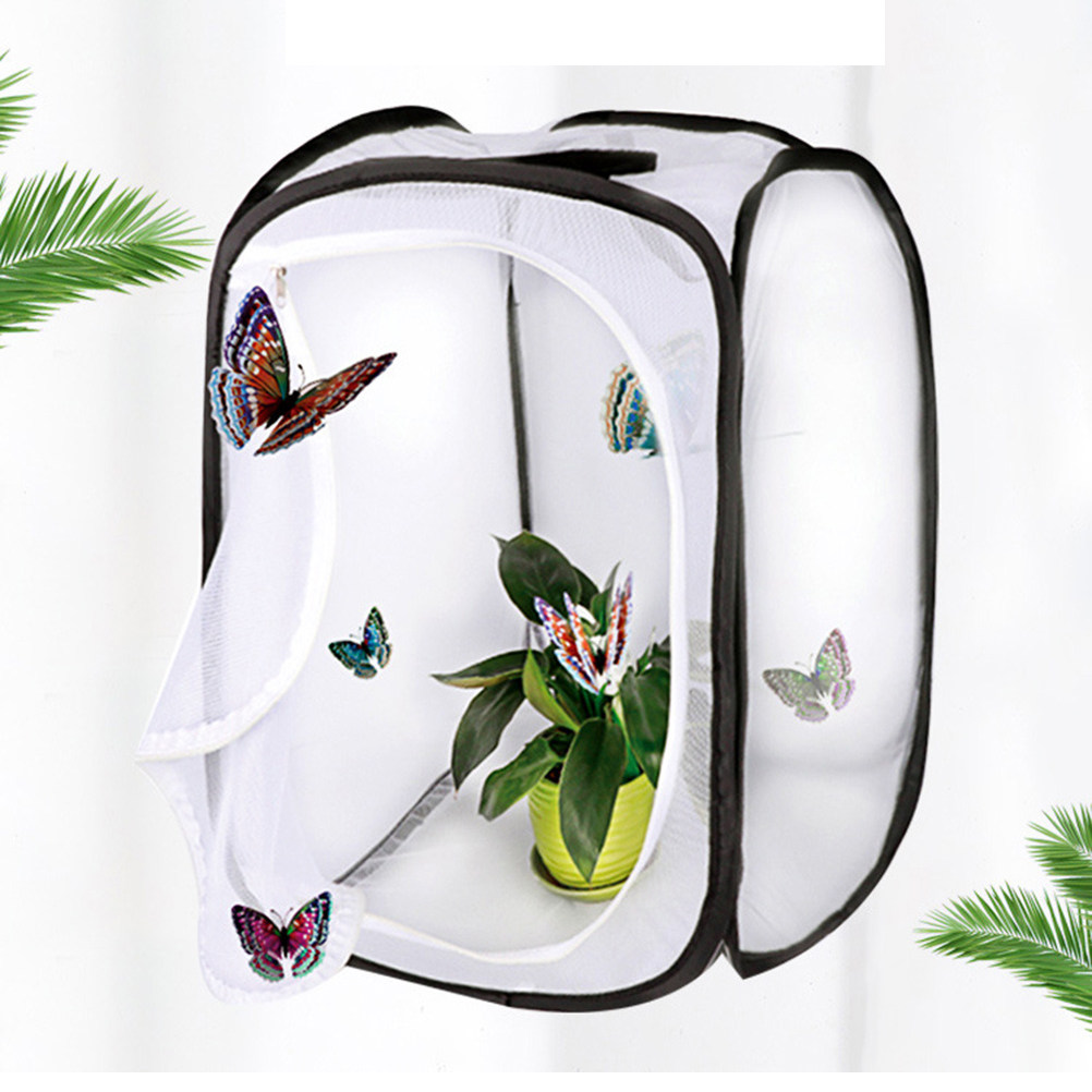 30x30cm White Foldable Insect  - Kids Toys House review and price