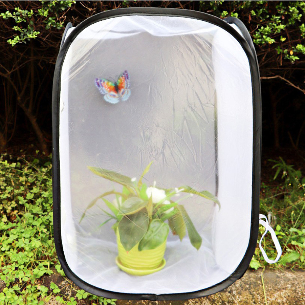 30x30cm White Foldable Insect  - Kids Toys House review and price