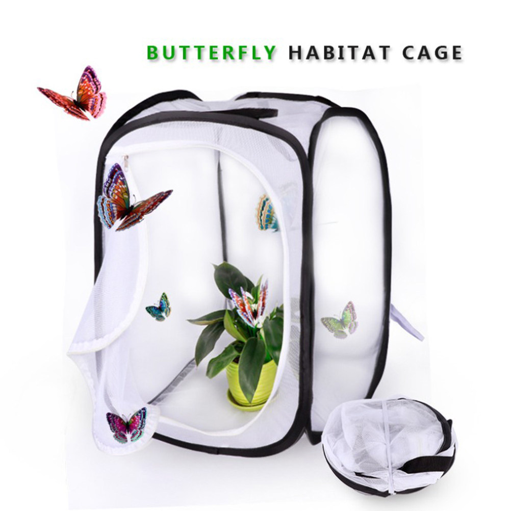 30x30cm White Foldable Insect  - Kids Toys House review and price