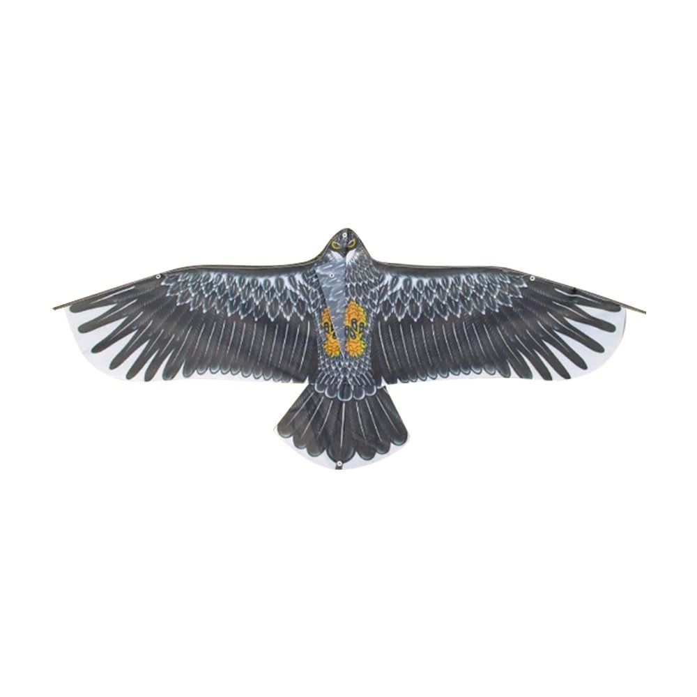 1.1m Eagle Kite With 30m Kite  - Kids Toys Usa review and price