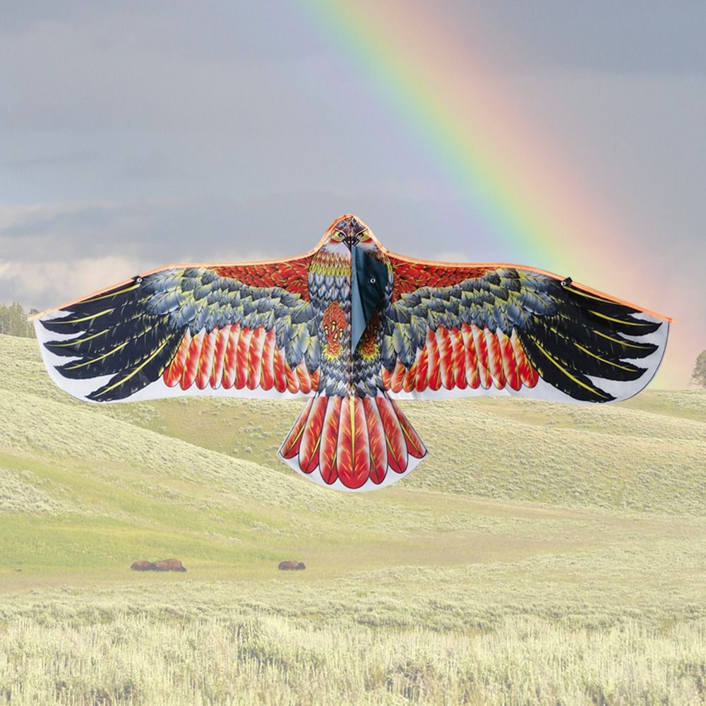 1.1m Eagle Kite With 30m Kite  - Kids Toys Usa review and price