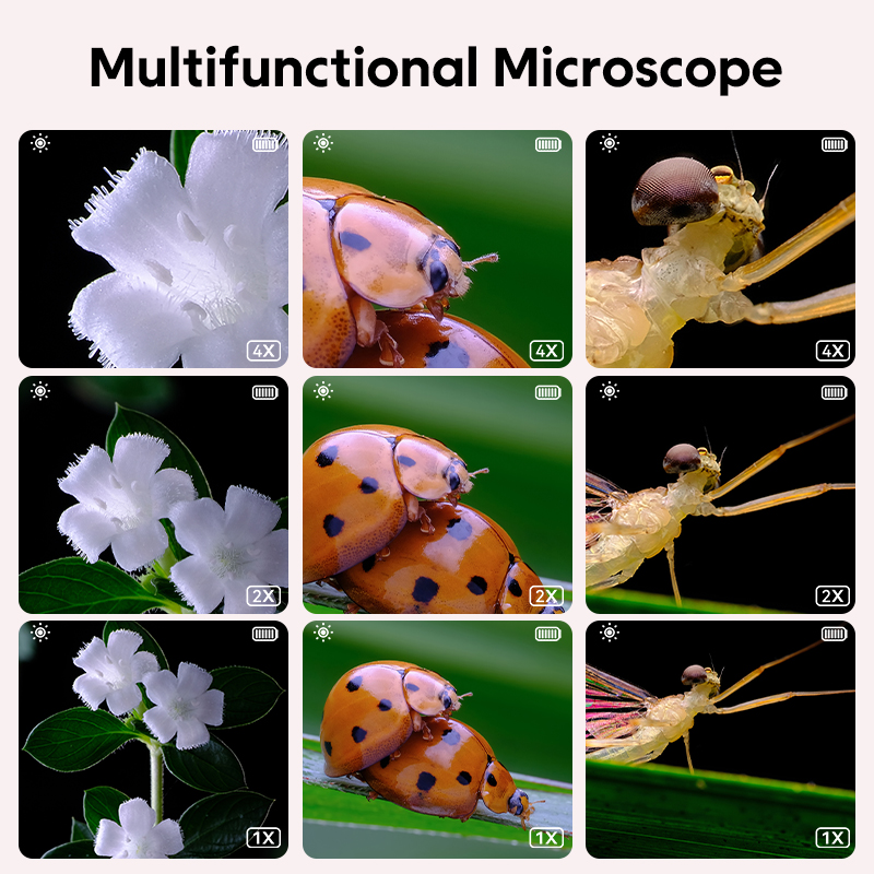 Mini Kids Optical Microscope W - Toys For Kids Video review and price
