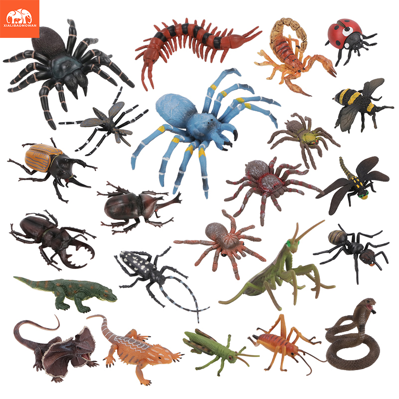 Educational Simulation Insect  - Kids Toys Learning review and price