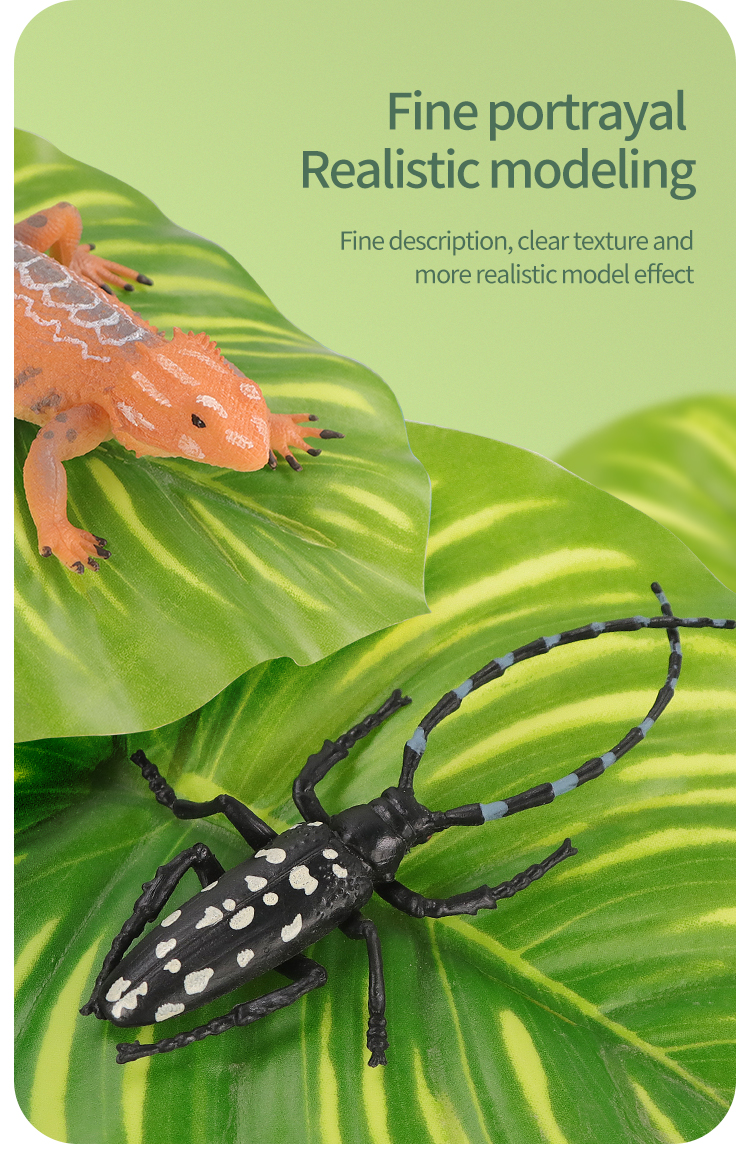 Educational Simulation Insect  - Kids Toys Learning review and price